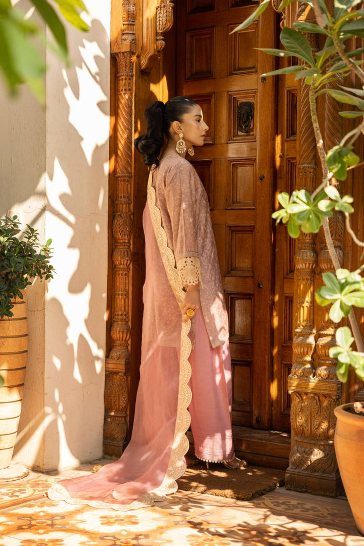 Shehrnaz - Champa - SHK-1438 - Tea Pink - Cotton Net - 3 Piece
