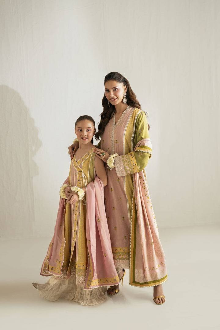 Shehrnaz - Medium Silk Blush Meadow Panelled Suit For Women - Pink