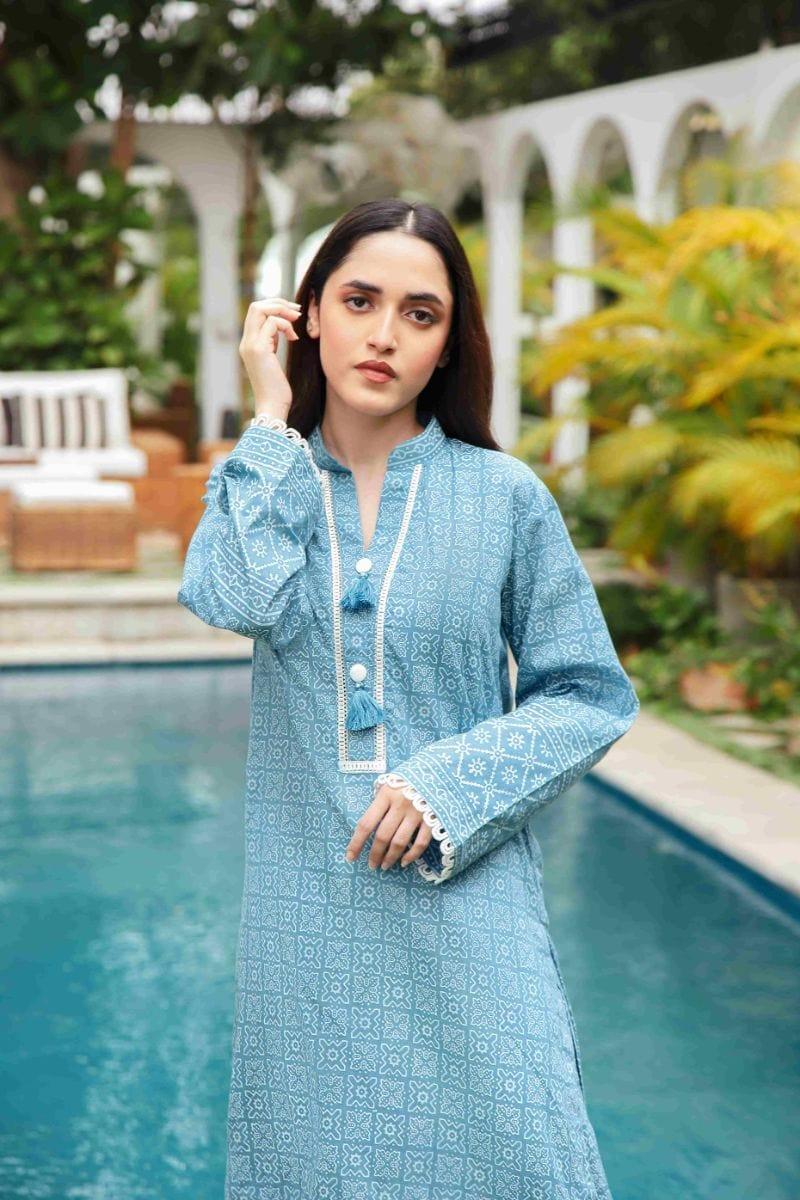 Shehrnaz - SHK-1193 - Light blue - cotton chikan - 2 Piece