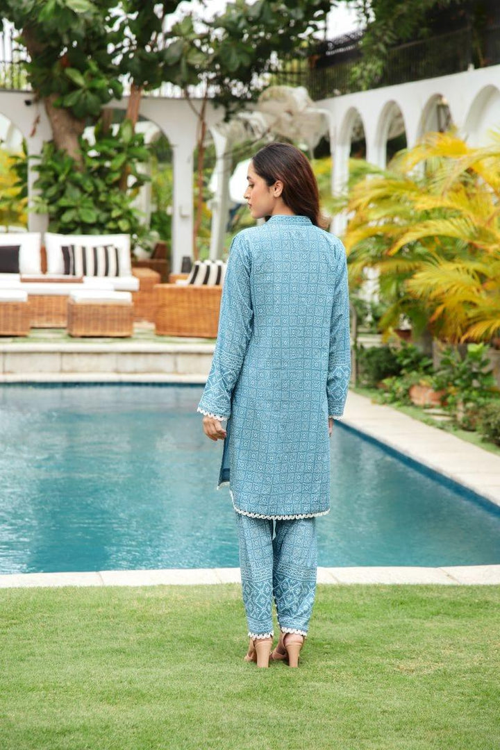 Shehrnaz - SHK-1193 - Light blue - cotton chikan - 2 Piece