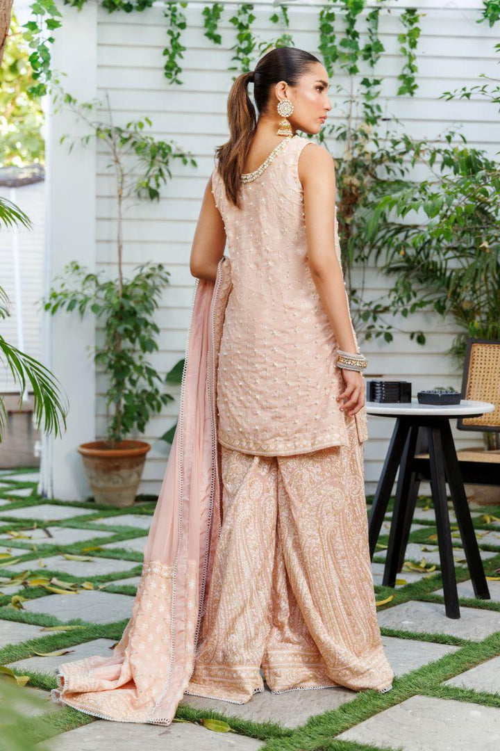 Shehrnaz - SHK-1305 - Pink - Chiffon - 3 Piece
