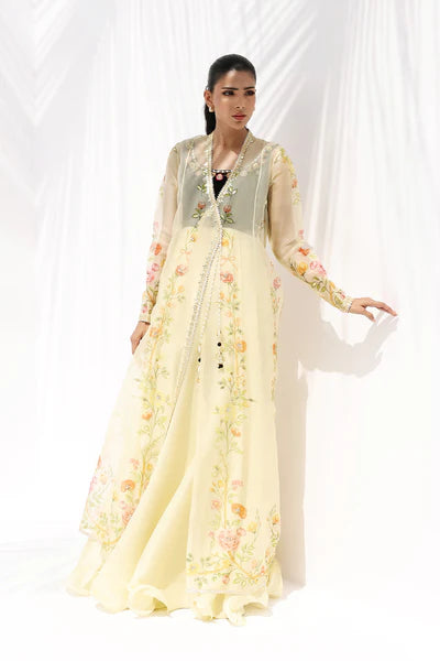Sania Maskatiya - Tali Velvet/Khaddi Silk/Organza Suit For Women - Buttercream 3 Piece