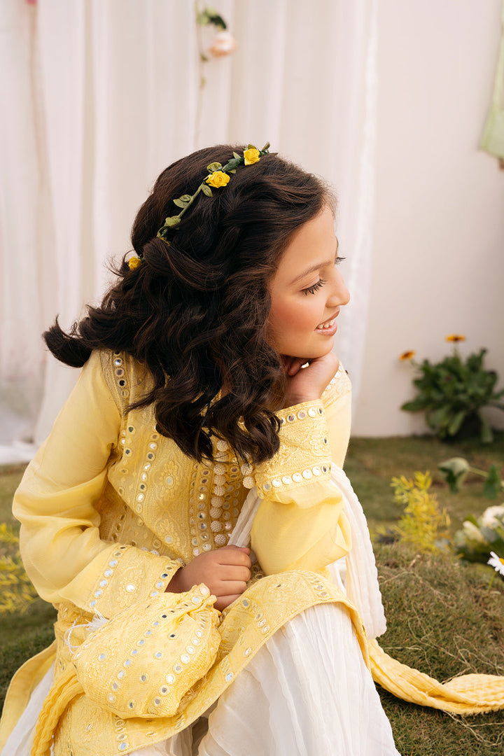 Hummingbirds - Basant Mirror and Thread embroidered Sharara Set 4 Pcs For Girl