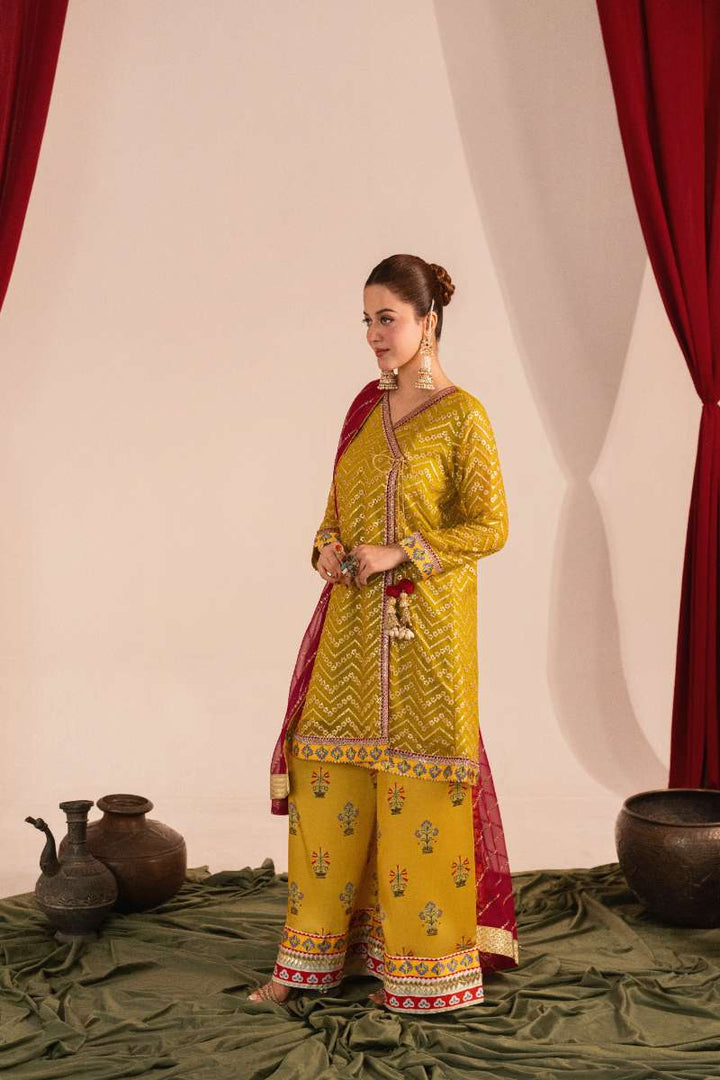 Zaaviay-Olive Splash-Olive Green-Chikankari-3 Piece