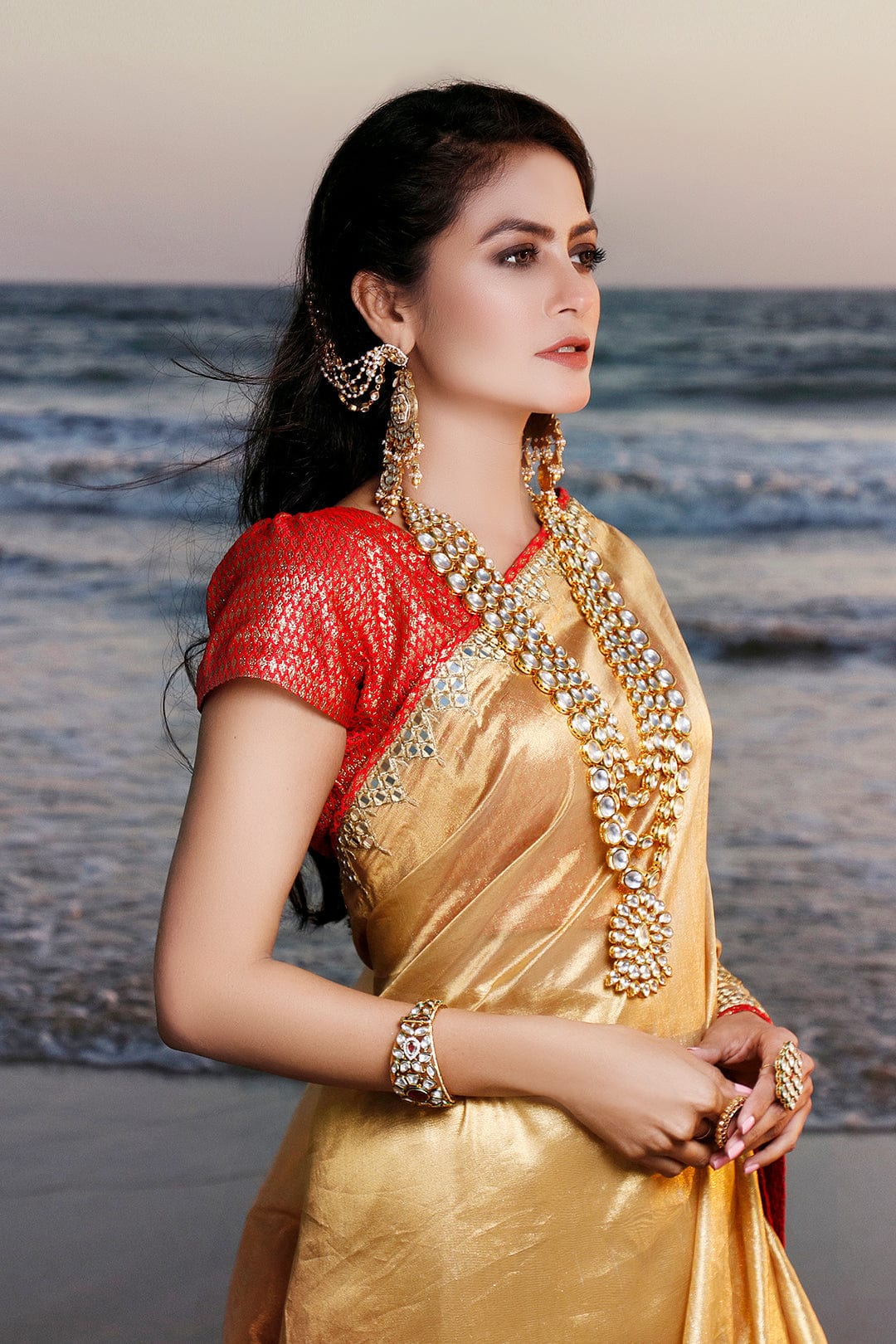 Sanas - Mirror Embroidered Organza Brocade Saree | SIRA | SR202057