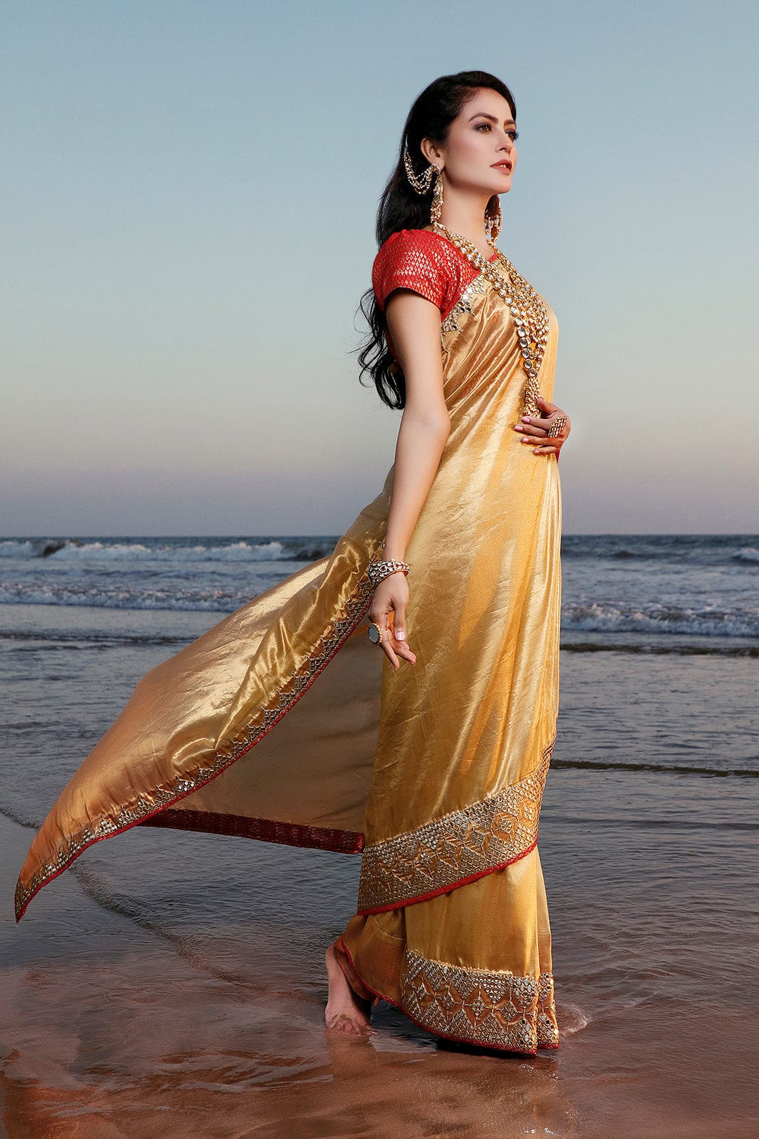Sanas - Mirror Embroidered Organza Brocade Saree | SIRA | SR202057