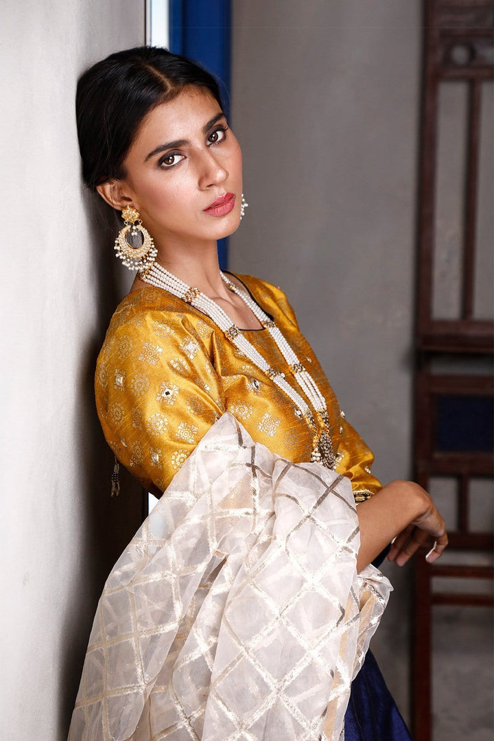 Sanas - Printed Raw Silk Mirror Work Lehenga Choli | SIRA | L202044