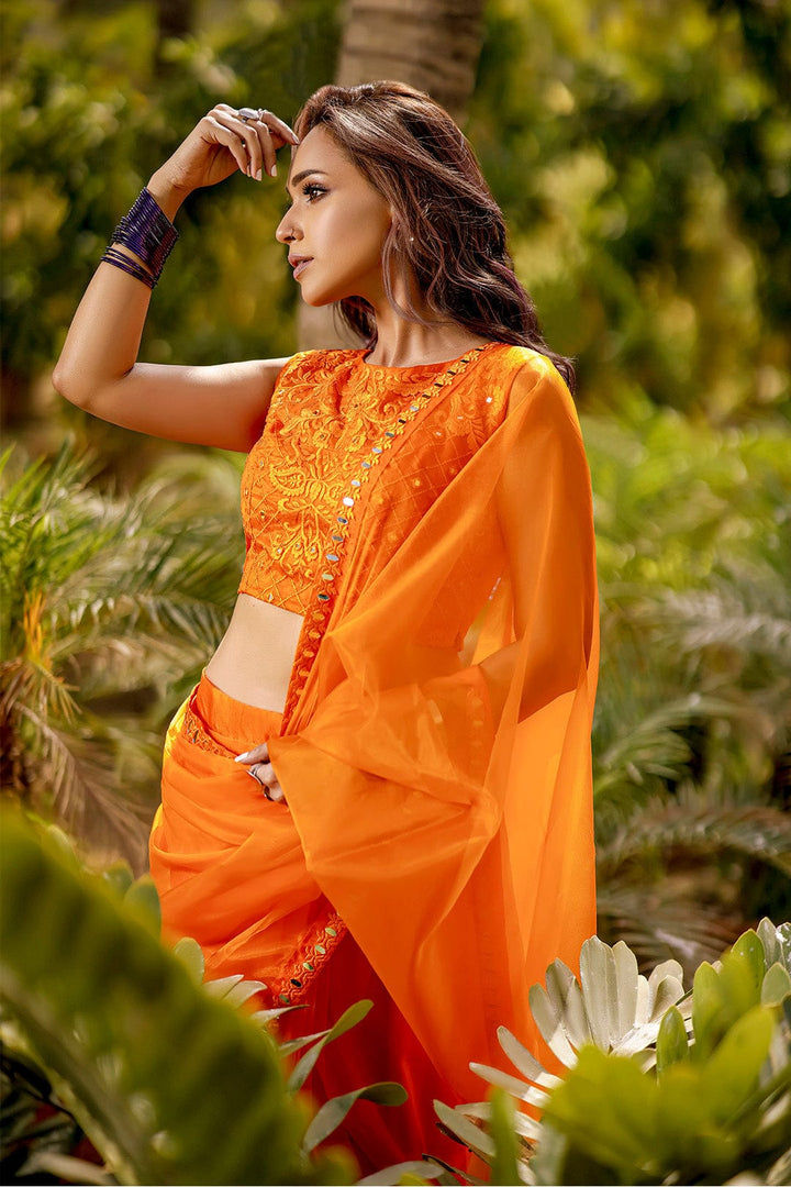 Sanas - Organza Luxury Saree | TITLIYAN | SR202119