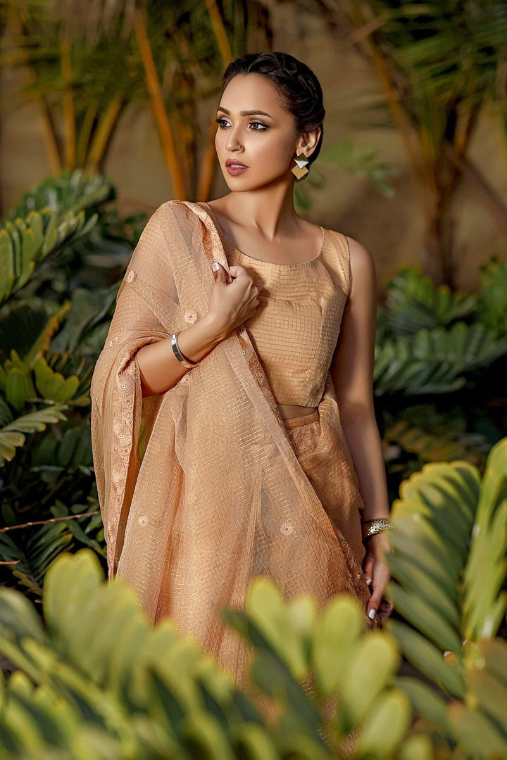 Sanas - Zari Organza Luxury Saree | TITLIYAN | SR202115