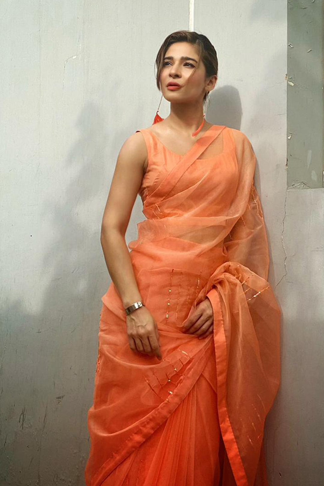 Sanas - Organza Luxury Saree | TITLIYAN | SR202117