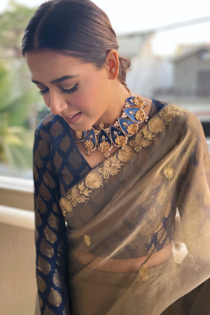 Sanas - Aari Embroidered Banarsi Organza Saree | SIRA | SR202055