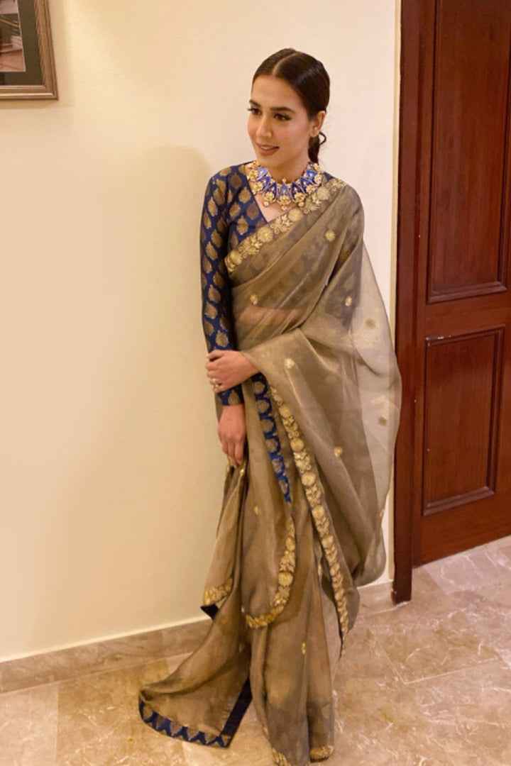Sanas - Aari Embroidered Banarsi Organza Saree | SIRA | SR202055