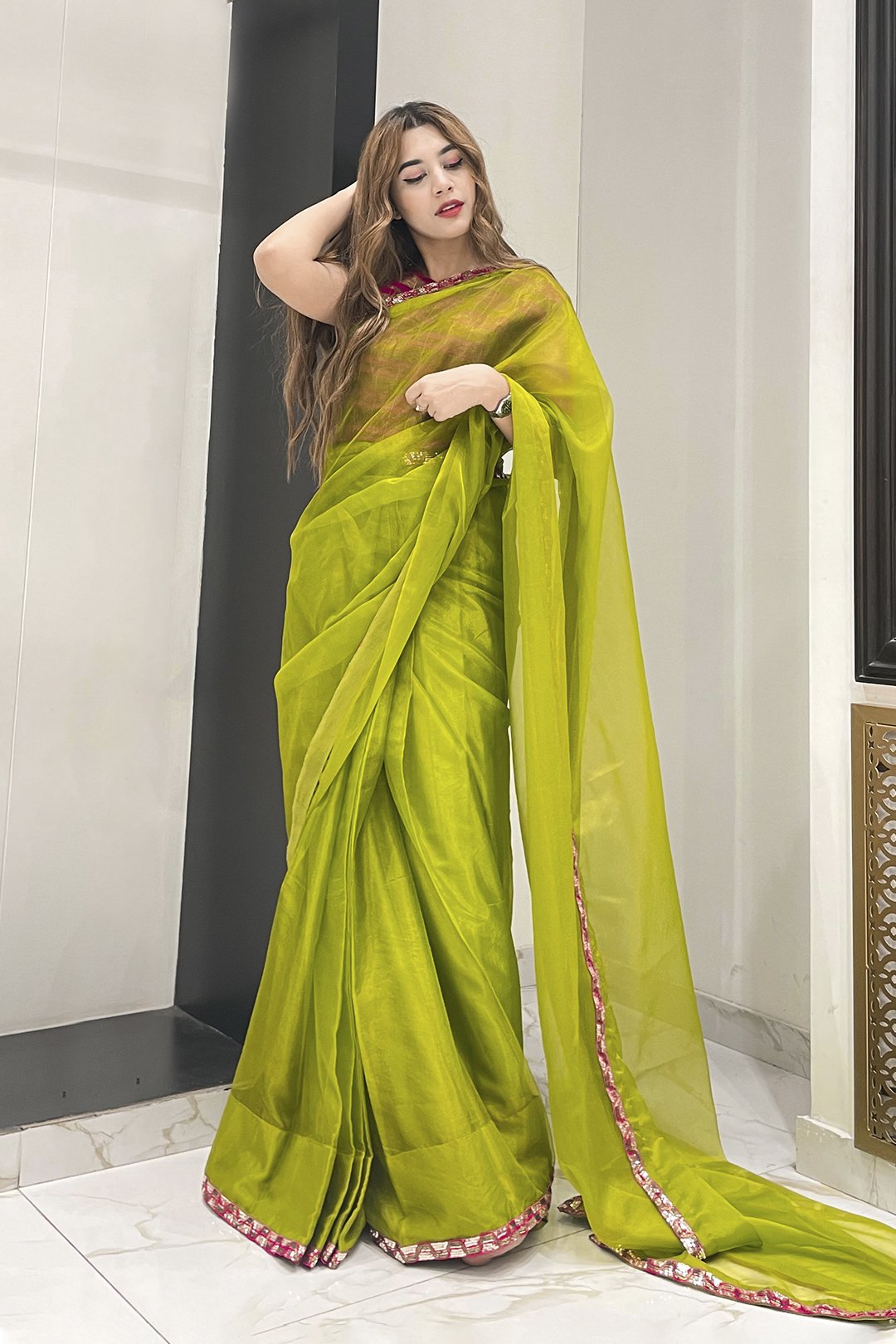 Sanas - Organza Luxury Saree - TITLIYAN - SR202130