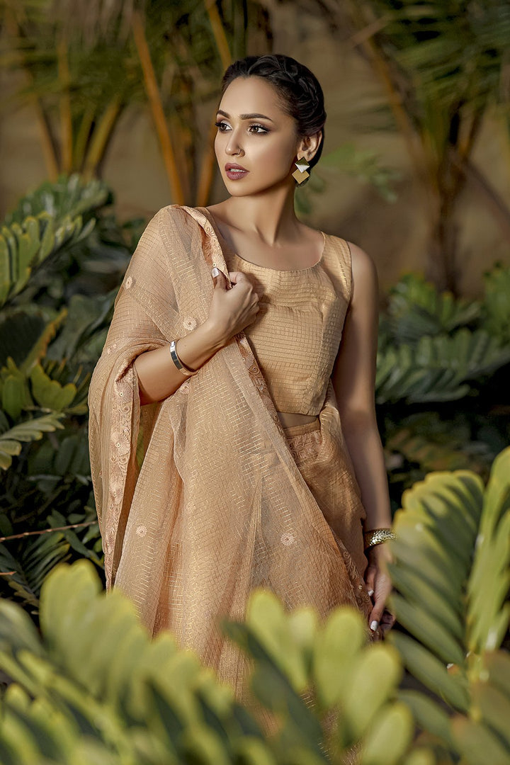 Sanas - Zari Organza Luxury Saree - TITLIYAN - SR202115