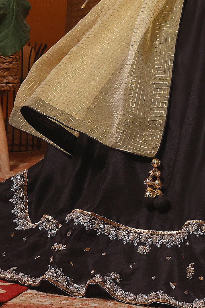 Sanas - Crystal Handwork Raw Silk Lehenga Choli | MEHRU | L202160