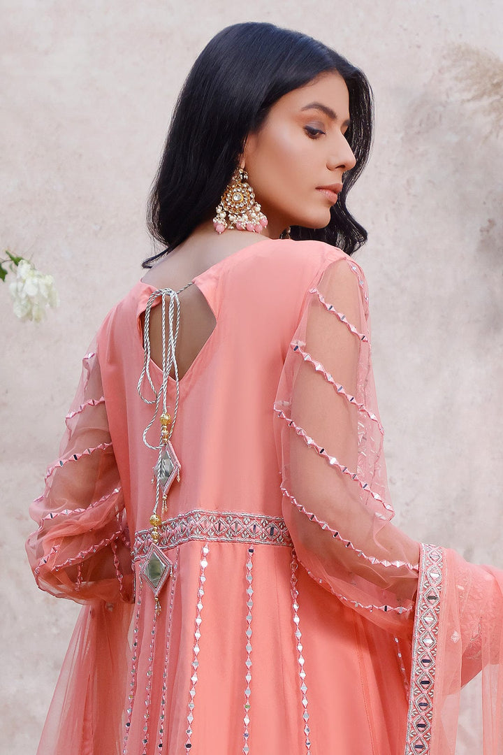 Sanas - Mirror Embroidered Net Long Maxi | MEHRU | M202158