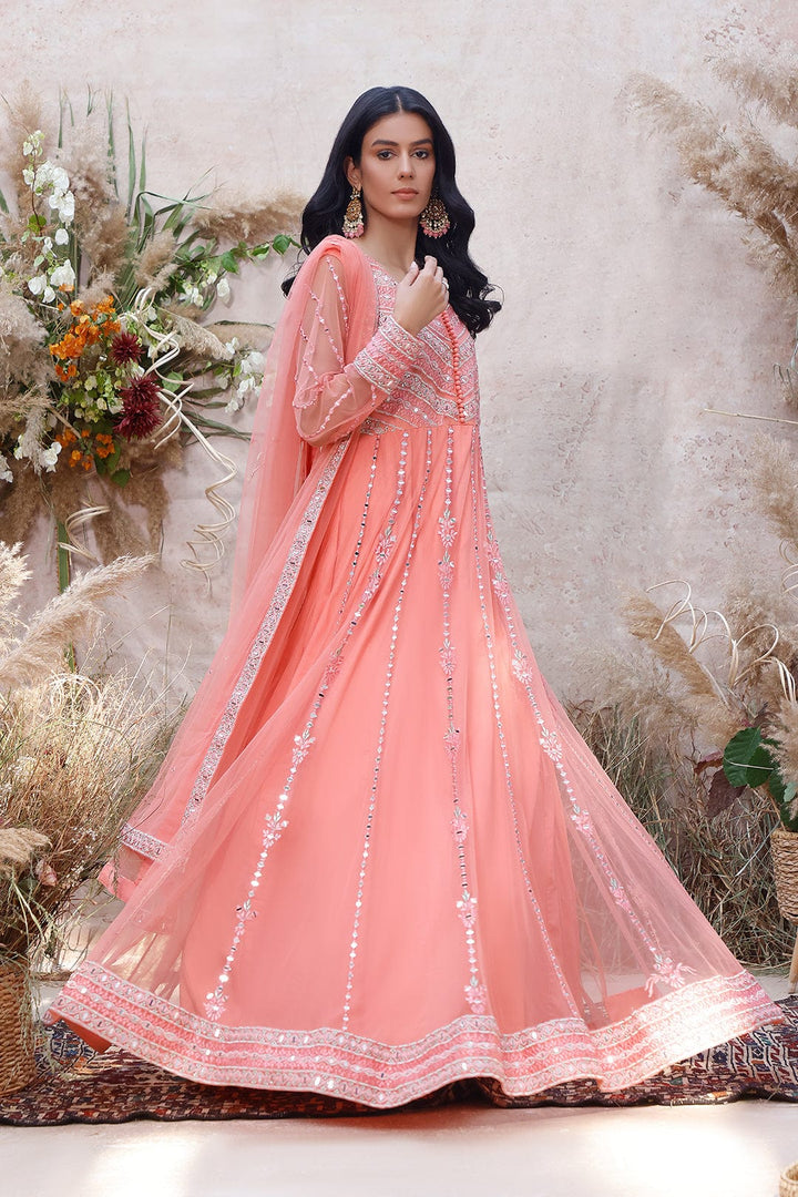 Sanas - Mirror Embroidered Net Long Maxi | MEHRU | M202158