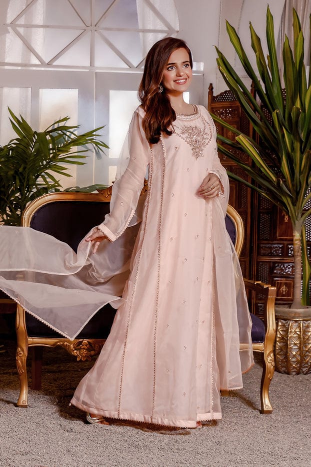 Sanas - Dandwork Embroidered Organza 3pc Suit | KAIRA | S202191