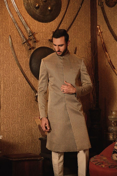 GEM Garments - Haalim - Sherwani - Fawn - 1 Piece - Organza - Studio by TCS
