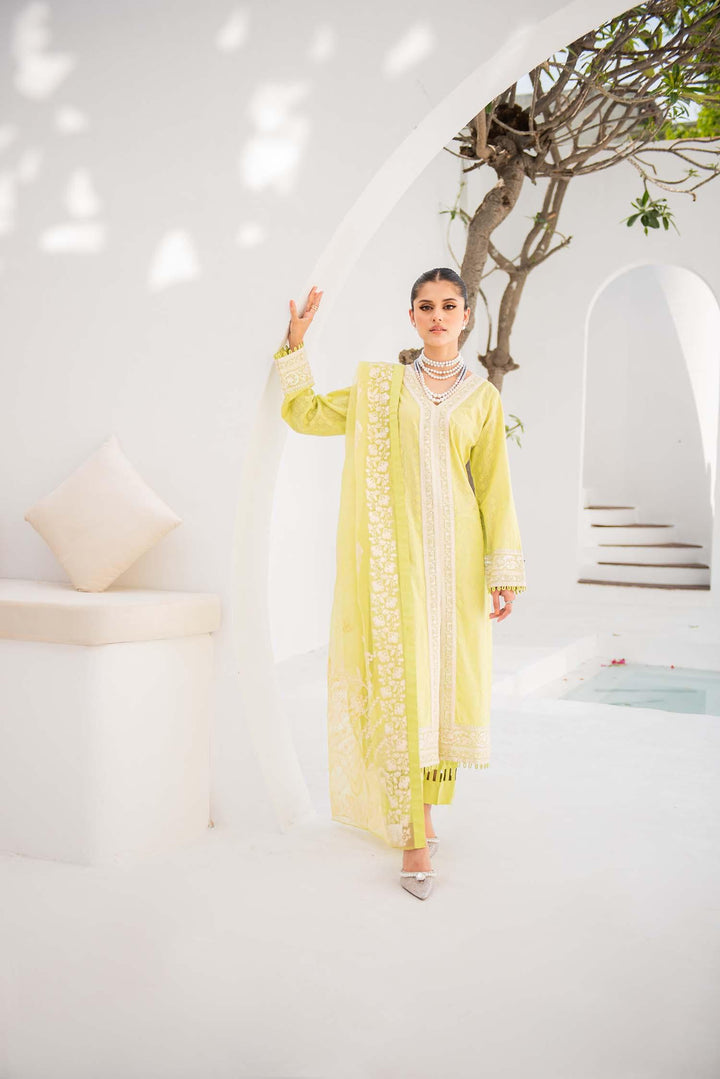 Nuriyaa - Chameli - chikankari - Lime Green - 3 Piece - Studio by TCS