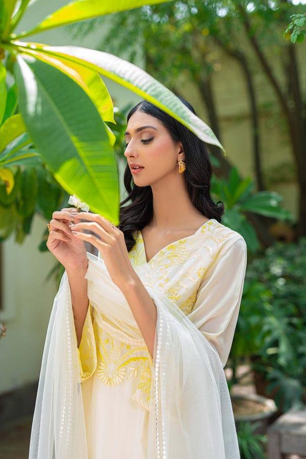 Natasha Kamal - DAFFODIL - yellow - 3PC - Studio by TCS
