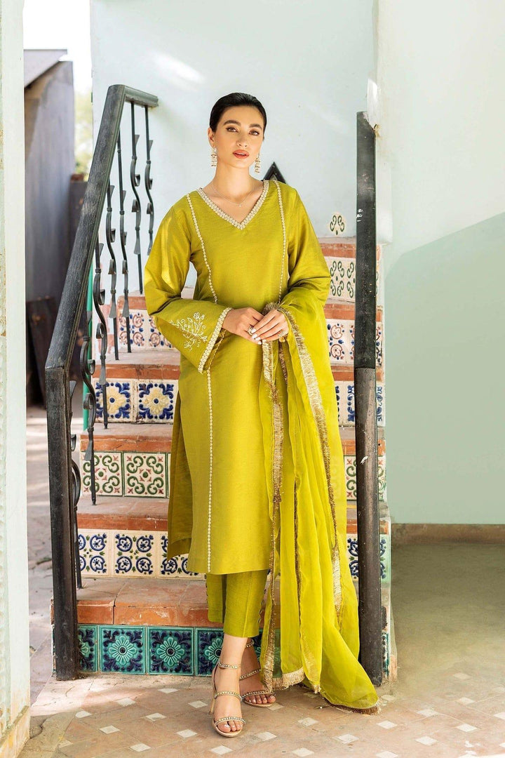Natasha Kamal - Green Raw Silk Coord Set with Organza Dupatta - 3 Pieces