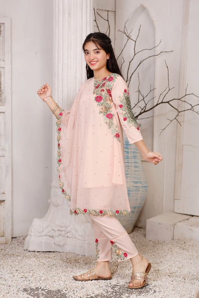 Pakistani Beautiful Clothes For Girls