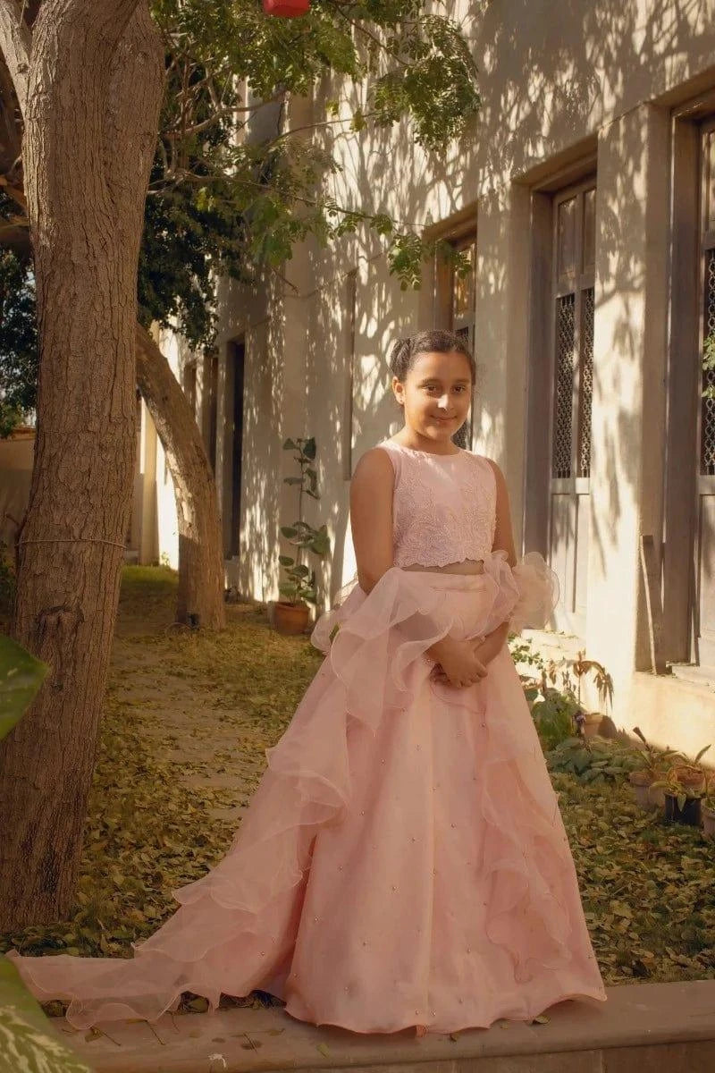 Shehrnaz - Pink Net Choli With Stone Work Paired With Raw Silk Lehenga & Organza Frilled - 2 PieceDupatta – SHKK-1090
