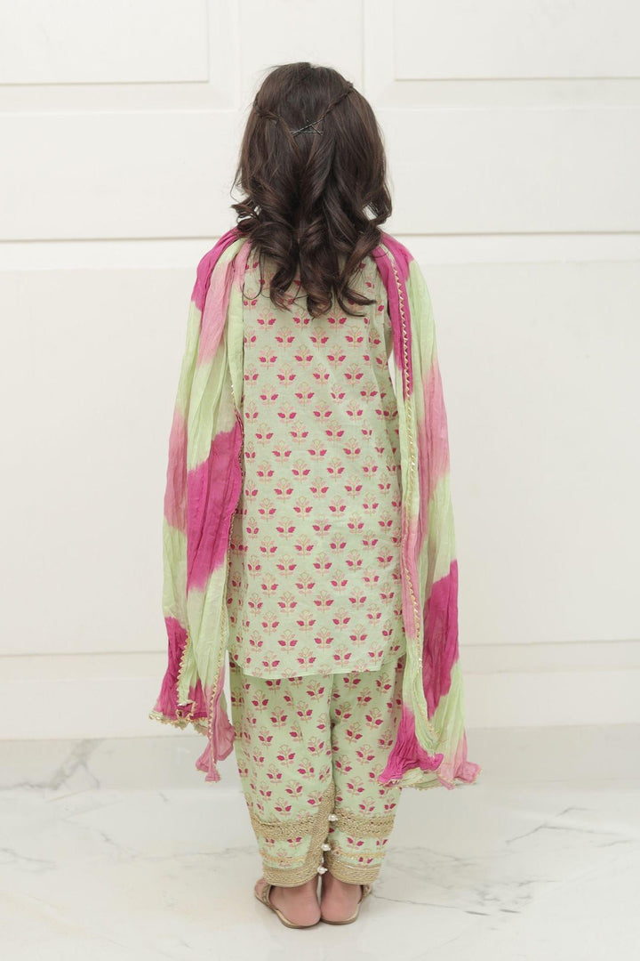 Shehrnaz - SHKK-980 - Sea Green - Block Print - 2 Piece